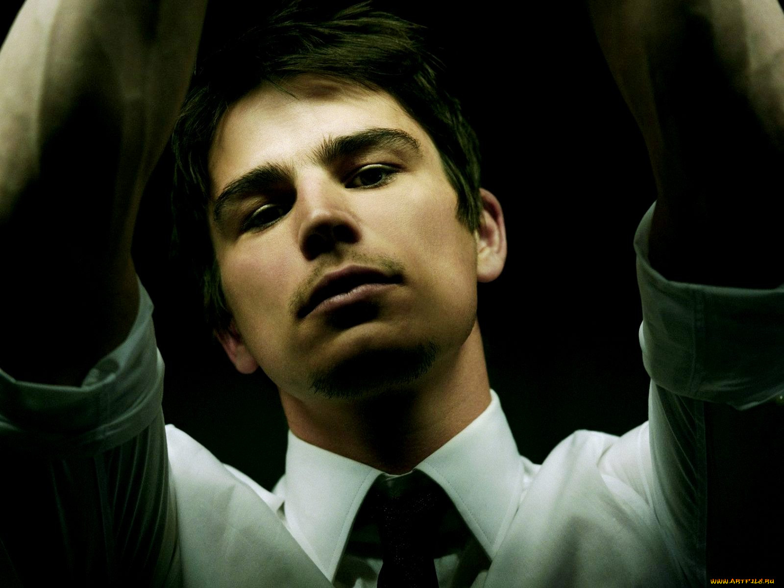 josh, hartnett, 